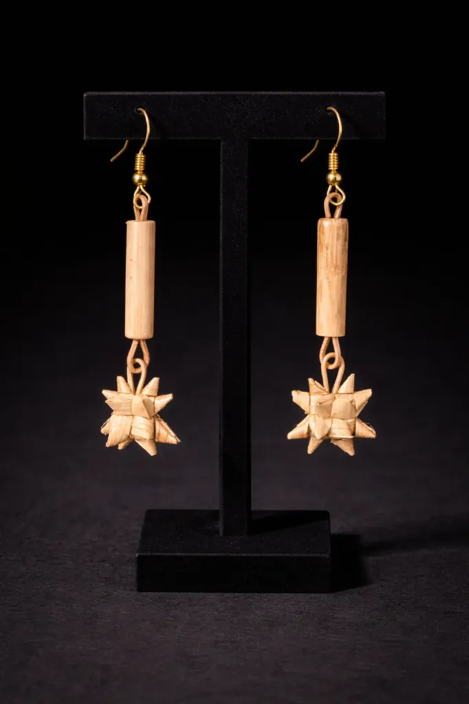 Star stick earring