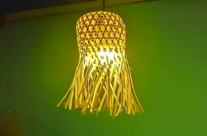 Hanging Lampshade