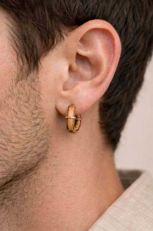 Brown striped earrings